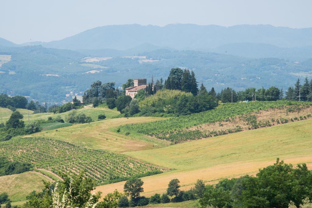 Agriresort&Spa Fattoria I Ricci Vicchio Esterno foto